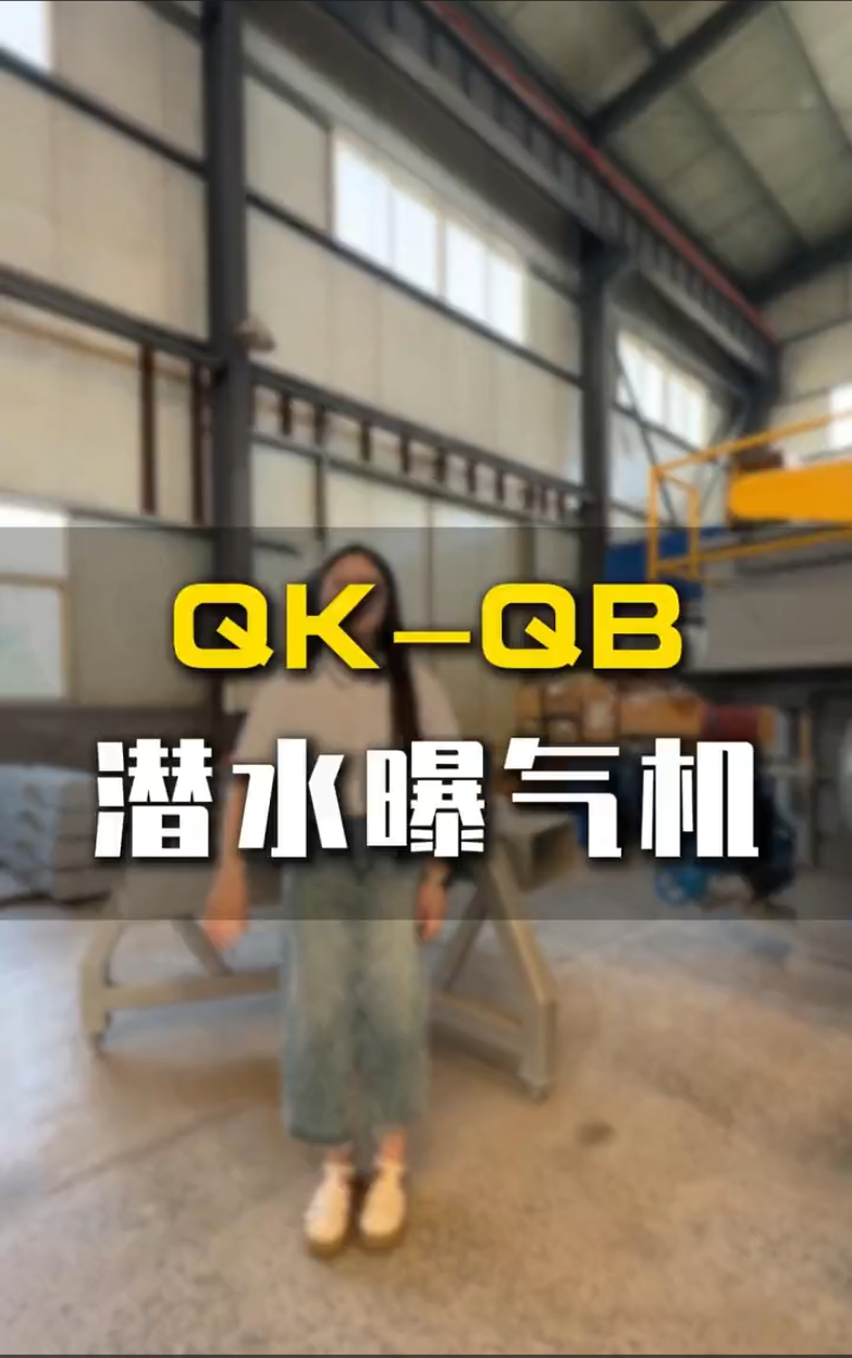 QK-QXB 自吸式潜水曝气机